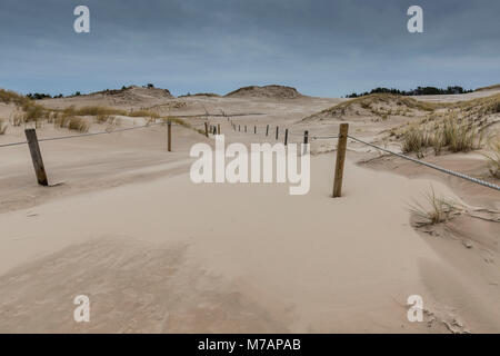 L'Europe, la Pologne, la Poméranie, déplacement des dunes dans le Parc National de Slowinski Banque D'Images
