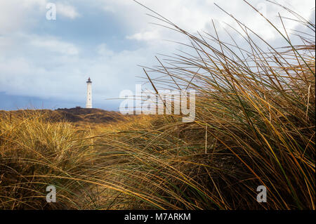 Ary Lyngvig dans les dunes Banque D'Images