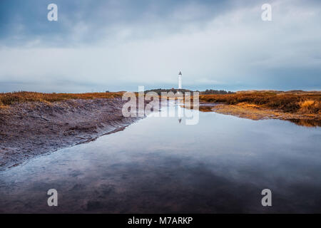 Lyngvig Fyr avec reflet dans une flaque d'eau après la pluie Banque D'Images