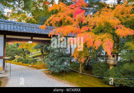 Le Japon, la ville de Kyoto, les jardins du Palais Impérial Banque D'Images