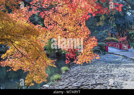 La ville de Nara, Japon, couleurs d'automne Banque D'Images