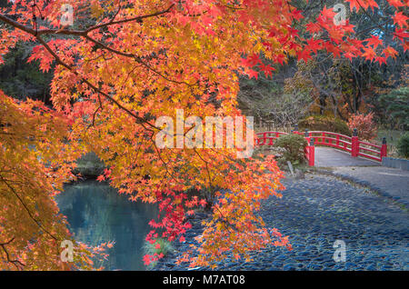 La ville de Nara, Japon, couleurs d'automne Banque D'Images