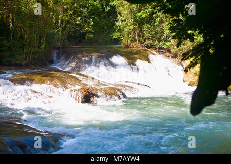 Cascade dans une forêt, des chutes d'Agua Azul, Chiapas, Mexique Banque D'Images