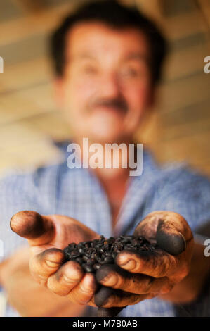 Man holding Coffee beans Banque D'Images