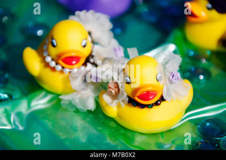 Close-up of a senior couple de canards en caoutchouc Banque D'Images