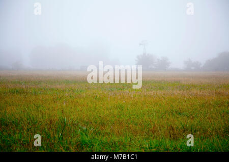 Dans un champ d'herbes hautes Banque D'Images