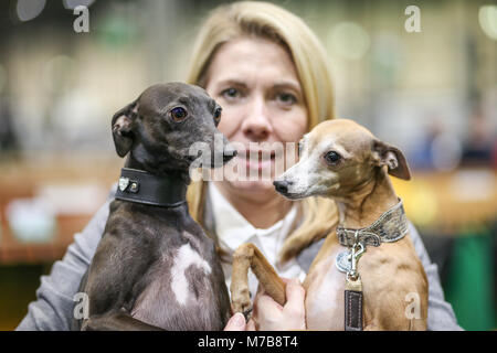 Une paire de lévriers Italiens avec leur propriétaire, le troisième jour de Crufts UK Banque D'Images