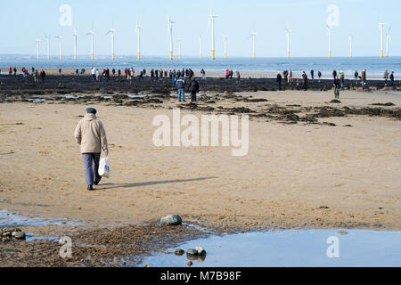 Forêt Pétrifiée préhistoriques découverts sur la plage de Redcar, UK, par la tempête Emma attire des centaines de visiteurs de voir les arbres fossilisés et naufrage avant qu'il soit de nouveau couvert par le sable. 9 mars 2018. Karen Turner/Alamy Live News Banque D'Images