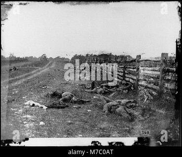 Antietam, Maryland Confederate dead par une clôture sur le Hagerstown road LOC cwpb.01097 Banque D'Images