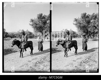 L'homme arabe sur l'âne, suivi d'une femme avec panier sur sa tête LOC.06343 matpc Banque D'Images