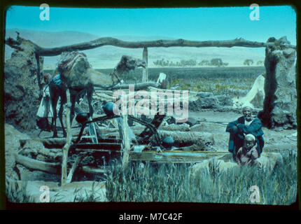 Une photo d'une roue d'irrigation primitive en Égypte, montrant les premières pratiques agricoles utilisées pour la distribution de l'eau dans l'agriculture, mettant en évidence les anciennes techniques égyptiennes. Banque D'Images
