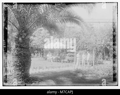Une photographie du groupe de jardinage de l’hôtel Continental Savoy au Caire, en Égypte, mettant en valeur le cadre luxueux et l’atmosphère culturelle de l’hôtel. Banque D'Images