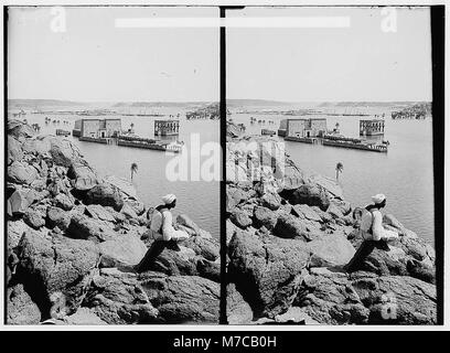 Cette image présente une vue générale de l'île de Philae, située en Égypte, près de la région d'Assuan. La photographie souligne la beauté archéologique et naturelle de l'île et son importance historique. Banque D'Images
