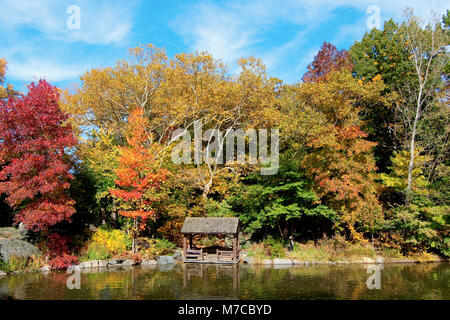 Reflet des arbres dans l'eau, Central Park, Manhattan, New York City, New York State, USA Banque D'Images