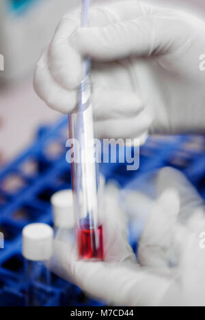 Close-up of a person's hand à l'aide d'une pipette dans un tube à essai Banque D'Images