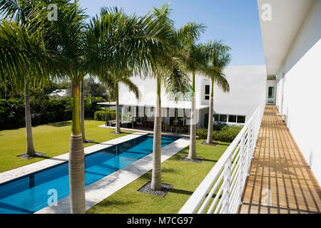 Palmiers le long d'une piscine Banque D'Images