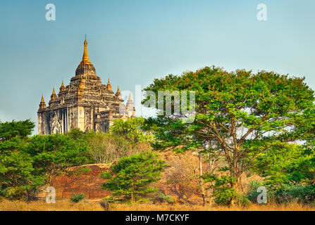 Thatbyinnyu Temple de Bagan. Le Myanmar. Banque D'Images