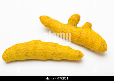 Le curcuma séché-racine Curcuma longa, acheté dans un magasin au Royaume-Uni et photographié dans un studio. England UK GO Banque D'Images