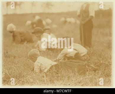 Denato Fank, 6 ans ; Tom Denato, 4 ans ; Domino Denato, 12 ans. 902 Montrose St., Philadelphie, et Padrone. White's Bog, Browns Mills, New Jersey. C'est la quatrième semaine d'école LOC CLB.00051 Banque D'Images