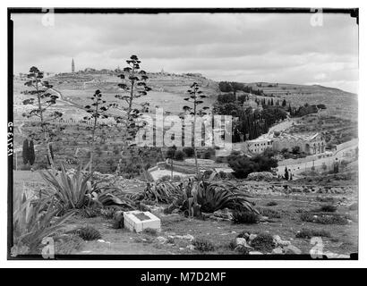 Une photographie de Gethsémani et du mont Olivet, avec des plantes centenaires bien en vue au premier plan. L'image capture le paysage religieux et naturel de la région. Banque D'Images