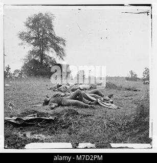 Gettysburg, Pennsylvanie. (Confederate dead réunis pour l'enterrement, le 5 juillet 1863) LOC.00908 cwpb Banque D'Images