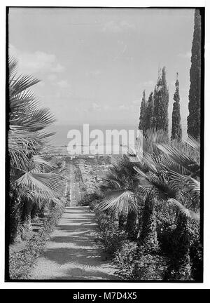 Cette image offre une vue panoramique de la baie de Haïfa depuis le jardin d'Abbas Effendi à Haïfa, en Israël. Il capture la beauté naturelle de la région, avec la baie et la ville en arrière-plan, soulignant la géographie unique et les monuments culturels de Haïfa. Banque D'Images