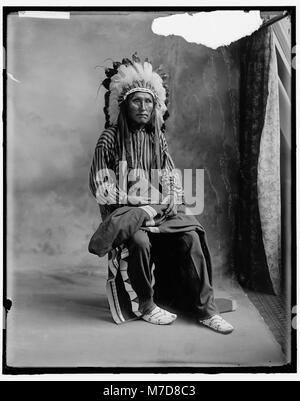 Photographie liée à la culture amérindienne, représentant un nom de loup associé à un groupe autochtone. L'image montre l'importance des noms et des animaux dans les traditions autochtones. Banque D'Images
