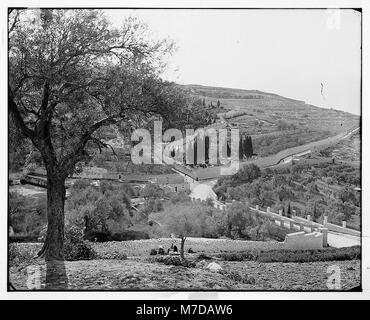 Le jardin de Gethsémani, situé à Jérusalem, est un site historique où Jésus aurait prié avant son arrestation. Il reste un site clé pour le pèlerinage chrétien et la signification religieuse. Banque D'Images