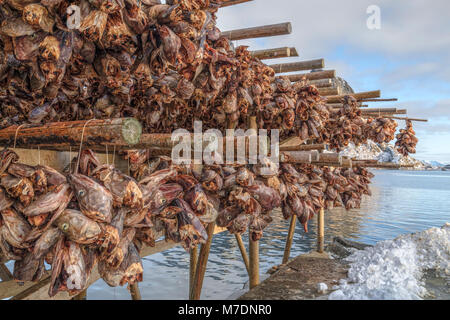 Reine, les îles Lofoten, Norvège, Europe Banque D'Images