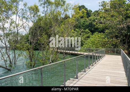 Une mangrove boardwalk dans Chek Jawa terres humides sur l'île de Pulau Ubin, Singapour. Banque D'Images