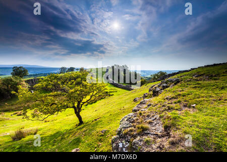 Mur d'Hadrien à Walltown rochers escarpés, dans le Northumberland. Banque D'Images