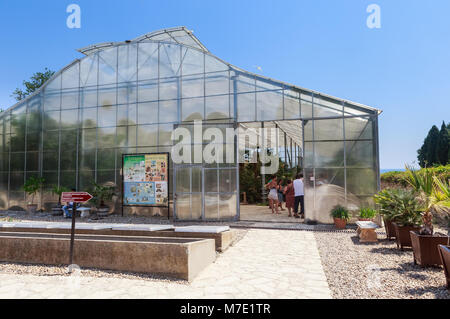 Les émissions de cactus dans le jardin botanique de Balchik, Bulgarie Banque D'Images