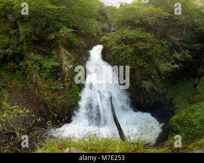 Une cascade sur la Mynach Falls à Devil's Bridge Banque D'Images