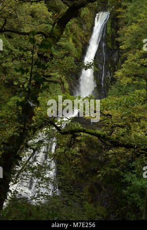 Une cascade sur la Mynach Falls à Devil's Bridge Banque D'Images