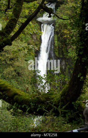 Une cascade et piscine sur la Mynach Falls à Devil's Bridge Banque D'Images