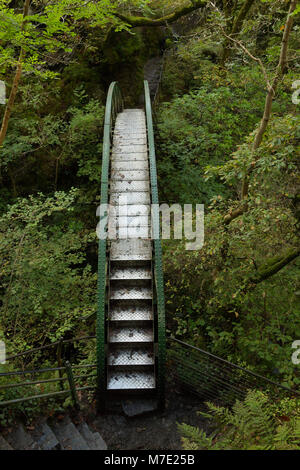 Mynach Bridge au bas de la Mynach Falls où elle s'écoule dans l'Rheidol Banque D'Images