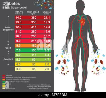 Tableau du diabète. Les symptômes de l'hyperglycémie comprennent des mictions fréquentes, augmentation de la soif, et l'augmentation de la faim. Info L'éducation graphique. Conception vectorielle Illustration de Vecteur