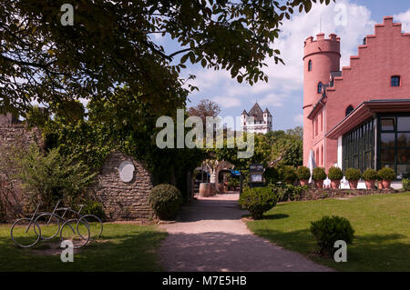 Burg Crass à Eltville, Rheingau, Hessen, Allemagne Banque D'Images