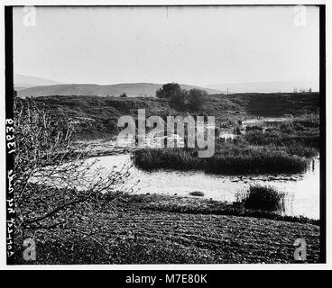 Près d'Éphèse. Site du Grand Temple d'Artémis une fois creusées ici et plus tard plus envasés. Ruines sous sol LOC.00669 matpc Banque D'Images