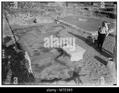 Vues du nord. Ain Tabgha. Sol en mosaïque de l'ancienne église LOC.02798 matpc Banque D'Images