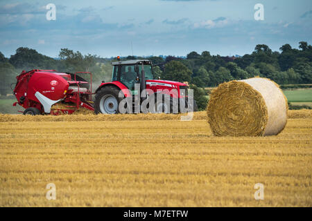 La mise en balles de paille dans le champ agricole, un agriculteur travaille et lecteurs de tracteur rouge tirant à balles rondes & passant en grosses balles - Whixley, North Yorkshire, Angleterre, Royaume-Uni. Banque D'Images