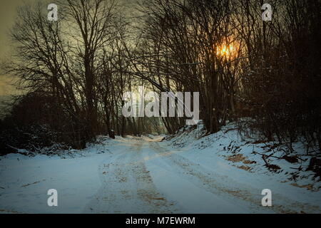 Chemin dans la forêt à l'aube, scène d'hiver Banque D'Images