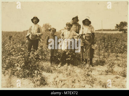 Slebzak (polonais) de la famille travaillant sur Bot(t)omley farm, près de Baltimore (MD), ils ont travaillé ici 3 ans et un hiver à Avery Island, en Louisiane. Tous les travaux sauf les très petites. Elle se bloque LOC CLB.00011 Banque D'Images