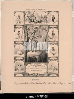 Cette photographie montre le général Tom Thumb, le célèbre artiste du 19ème siècle connu pour être le plus petit homme vivant à 22 ans, debout à seulement 33 pouces de haut. Il a gagné en renommée grâce à ses performances aux États-Unis et en Europe. Banque D'Images