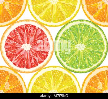 Modèle de vecteur seamless rondelles d'agrumes (orange, citron, pamplemousse, citron vert Illustration de Vecteur