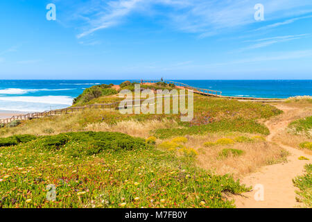 Voir de belle prairie avec les fleurs de printemps près d'Amado beach, endroit populaire pour faire du kite surf, Algarve, Portugal Banque D'Images