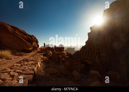 L'homme accueille le beau lever de soleil sur le mont Sinaï en Égypte. Banque D'Images