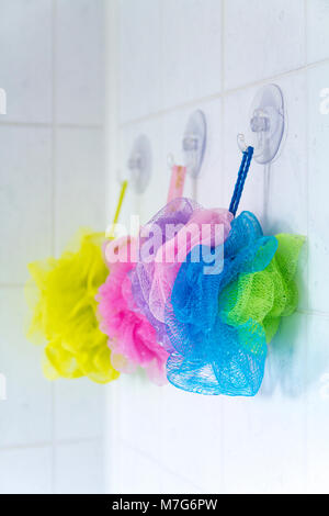Salle de bains (douche chouchous souples Nettoyage de corps bouffées balles net alignés dans diverses couleurs contre carreaux dans salle de bains vide accroché à crochets sucker. Banque D'Images