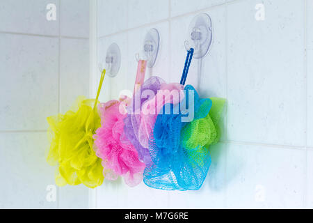 Salle de bains (douche chouchous souples Nettoyage de corps bouffées balles net alignés dans diverses couleurs contre carreaux dans salle de bains vide accroché à crochets sucker. Banque D'Images