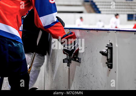 Gardien de hockey au monde Banque D'Images